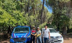 Yaralı şahin, jandarma ekiplerince kurtarıldı