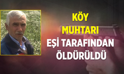 Çankırı'da köy muhtarı eşi tarafından öldürüldü