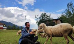 Hayali kaymakamlık olan genç çobanlık yapmaya başladı