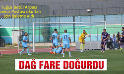 Dağ fare doğurdu