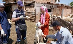 Çankırı'da ki çiftçilere uyarı: "Destek alamayacaklar"