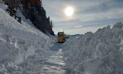 Ulaşıma kapanan Macahel Geçidi’nde çalışmalar 10 gündür devam ediyor