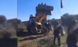 Çamura saplanarak derede mahsur kalan inek, iş makinesiyle kurtarıldı