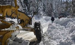 Kastamonu’da 303 köy yolu kar yağışı sebebiyle ulaşıma kapandı