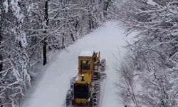 Kastamonu’da kar sebebiyle yolu kapalı köy sayısı 335’e yükseldi