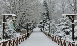 Ordu’nun 16 ilçesinde eğitime kar engeli