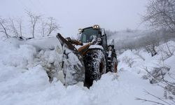 Sakarya’da kar sebebi ile kapanan 34 grup yolu ulaşıma açıldı