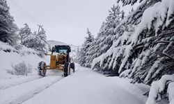 Giresun’da kar yağışı nedeniyle 394 köy yolu kapandı