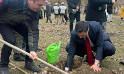 Kastamonu’da şehit ve gaziler için fidan dikildi