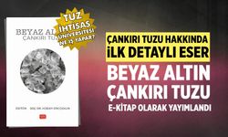 Beyaz Altın: Çankırı Tuzu Kitabı sadece e-kitap olarak yayımlandı