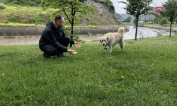 Bankada mahsur kalan köpek alarm sistemini devreye soktu: Çevredekiler hırsız var sandı
