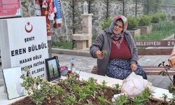 Eren Bülbül’ün annesi Ayşe Bülbül, PKK’nın fesih kararını duyurmasını değerlendirdi