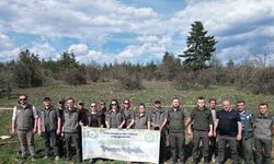 Kastamonu’da yaban hayatı için ormanlık alana fidan dikildi
