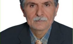 Kayıp hayvanını arayan yaşlı adam ormanlık alanda ölü bulundu