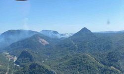 Marmaris’te orman yangını