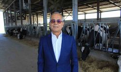Süt üretiminde fazlalık var, Haziran’da değerlendirme yapılacak
