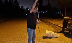 Yılanlara fısıldayan adam, çamaşır makinesine giren 1 buçuk metrelik karayılanı nasihat vererek doğaya bıraktı