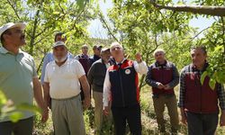 Tarım İl Müdürü Candan, çiftçilerle sahada buluştu