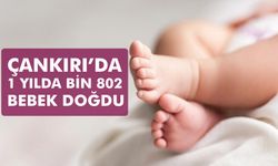 Çankırı’da 1 yılda bin 802 bebek doğdu