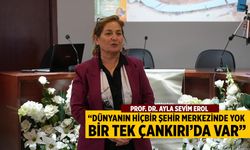 Prof. Dr. Erol: “Dünyanın hiçbir şehir merkezinde yok, bir tek Çankırı’da var!"