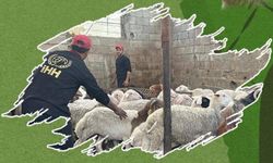 Çankırı İHH kurban organizasyonu için hazırlıklara başladı