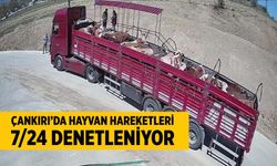 Çankırı'da hayvan hareketleri 7/24 denetleniyor