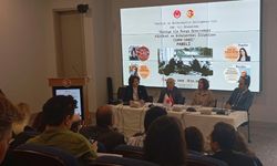 Rusya ile Kültürel ve Entelektüel İlişkiler Paneli düzenlendi