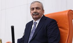 Sırrı Süreyya Önder hayatını kaybetti