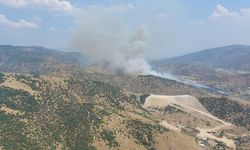 Aydın’da zirai alandaki yangın büyüyor