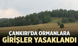 Çankırı’da ormanlık alanlara girişler yasaklandı