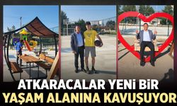 Atkaracalar yeni bir yaşam alanına kavuşuyor