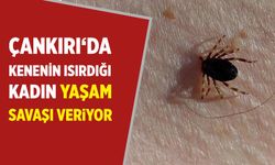 Çankırı ‘da kenenin ısırıdığı kadın yaşam savaşı veriyor