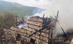 Anızda çıkan yangın asırlık düğmeli evleri küle döndürdü