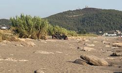 Antalya’da caretta caretta yuvaları zarar gördü