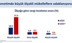 Bakan Şimşek’ten vergi denetimi paylaşımı