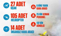 Cumhurbaşkanı Erdoğan’dan orman yangınlarıyla ilgili paylaşım