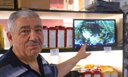 Dilencinin 1 günlük hasılatı 30 yıllık esnafı hayrete düşürdü