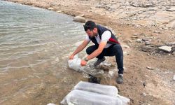 Gölhisar Gölü ve Yapraklı Barajı’na 5 bin yayın ve sazan balığı bırakıldı