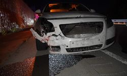 Gümüşhane’de otomobilin çarptığı ayı telef oldu