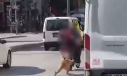 Motosikletin arkasına bağladıkları köpeği sürükleyerek götürdüler