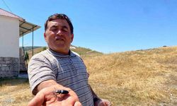 Öldürmenin cezası 557 bin TL, Sivas’ta görüldü