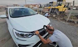 Otomobilin motor bölmesine giren yavru kedi 3 şehir gezdi