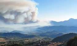 Suriye’de devam eden orman yangını Türkiye sınırına ulaştı