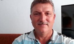 Yaban arılarının saldırısına uğraşan şahıs hayatını kaybetti