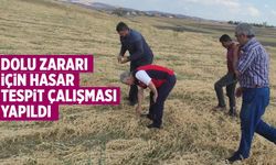 Çankırı’da dolu zararı için hasar tespit çalışması yapıldı