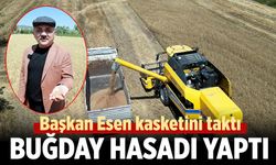 Başkan Esen biçerdöver ile buğday hasadı yaptı