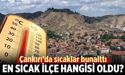 Çankırı’da sıcaklar bunalttı: En yüksek sıcaklık nerede ölçüldü?