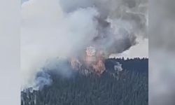 Çankırı’da orman yangını çıktı! Havadan ve karadan müdahale ediliyor