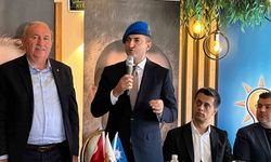 AK Partili Çelebi’den ’mavi bereli’ terörsüz Türkiye mesajı