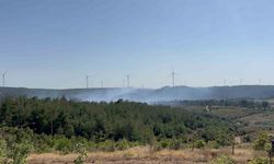 Çanakkale’deki orman yangını kontrol altında